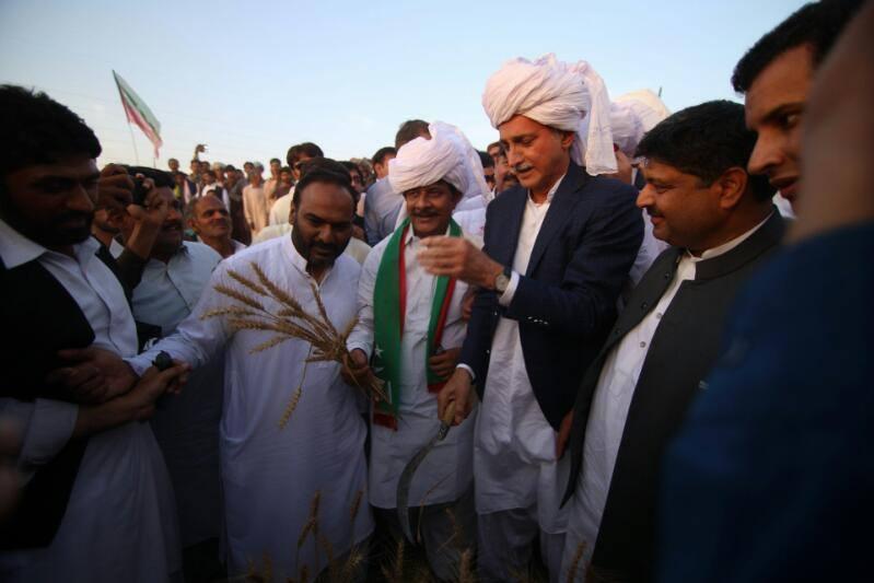 Jahangir Khan Tareen Inaugurating the wheat harvest in Chak Chatha.