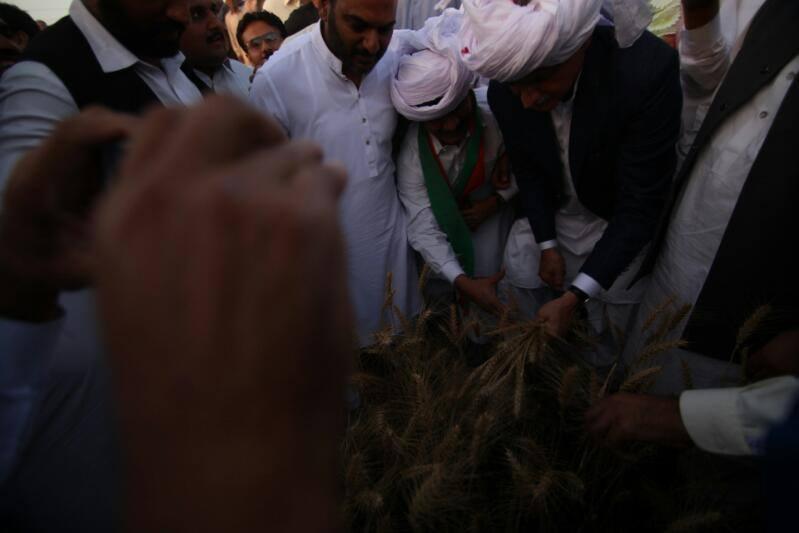 Jahangir Khan Tareen Inaugurating the wheat harvest in Chak Chatha.